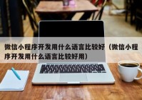微信小程序开发用什么语言比较好（微信小程序开发用什么语言比较好用）