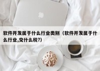软件开发属于什么行业类别（软件开发属于什么行业,交什么税?）