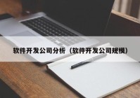 软件开发公司分析（软件开发公司规模）