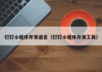 钉钉小程序开发语言（钉钉小程序开发工具）
