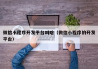 微信小程序开发平台叫啥（微信小程序的开发平台）