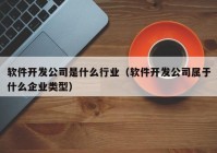 软件开发公司是什么行业（软件开发公司属于什么企业类型）